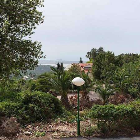 Nir Etzion Resort Ein Hod Exterior photo